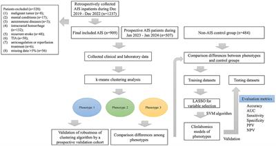 Using a k-means clustering to identify novel phenotypes of acute ischemic stroke and development of its Clinlabomics models